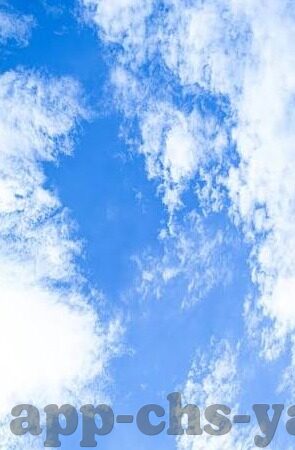 匈牙利足球比赛比分-匈牙利足球风云，一场激战后的比分背后故事
