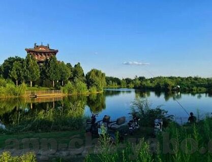 足球彩票即时比分直播-足球彩票即时比分直播，球迷的实时信息盛宴与理性购彩指南